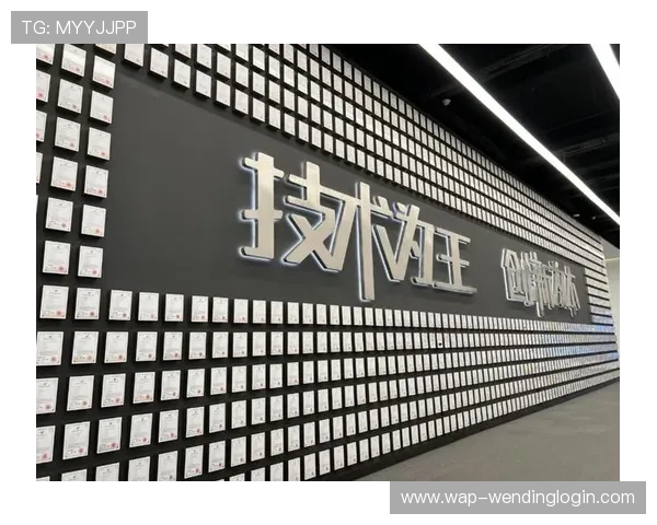 问鼎登陆创新驱动下的业务转型与升级路径探索引领行业变革的新动力